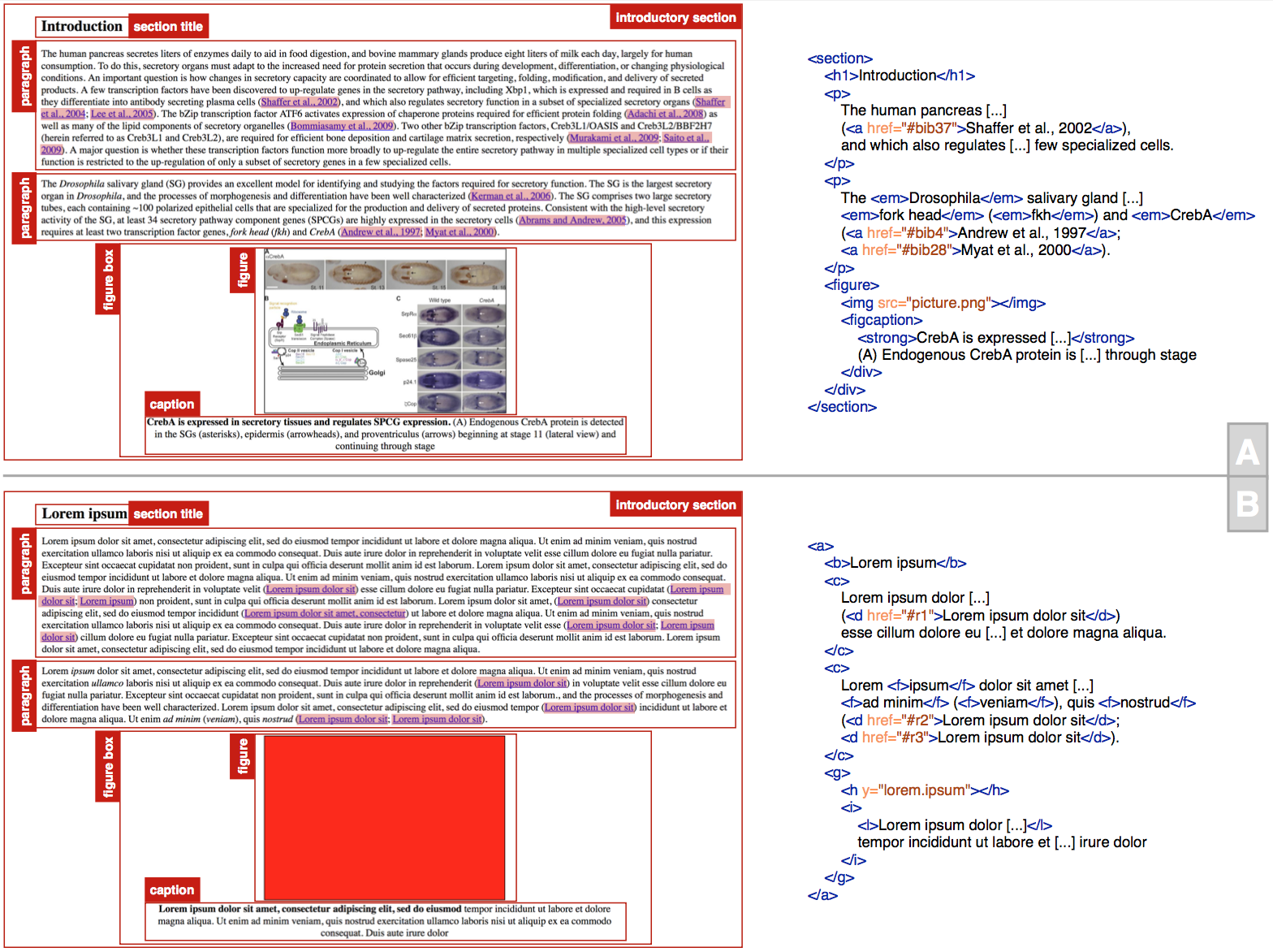 The partial HTML version of a portion of the article entitled "The CrebA/Creb3-like transcription factors are major and direct regulators of secretory capacity" [top panel (A)], and the same containment structure [bottom panel (B)] stored according to a fictional XML-based language, where no meaningful textual or visual content is explicit. The empty boxes with a red border, the blue-underlined strings, as well as the italic and strong strings, describe the various parts of the article. The pink rectangles delimit in-text reference pointers to some bibliographic references, while the meaning of the other parts is defined by means of the red labels with white text.